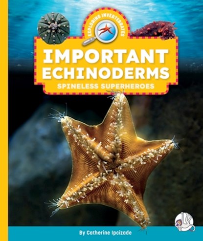Important Echinoderms: Spineless Superheroes, Catherine Ipcizade - Gebonden - 9781503894525