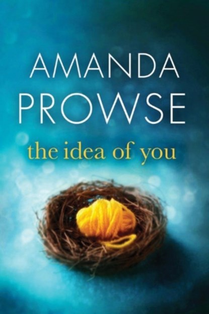 The Idea of You, Amanda Prowse - Paperback - 9781503942332