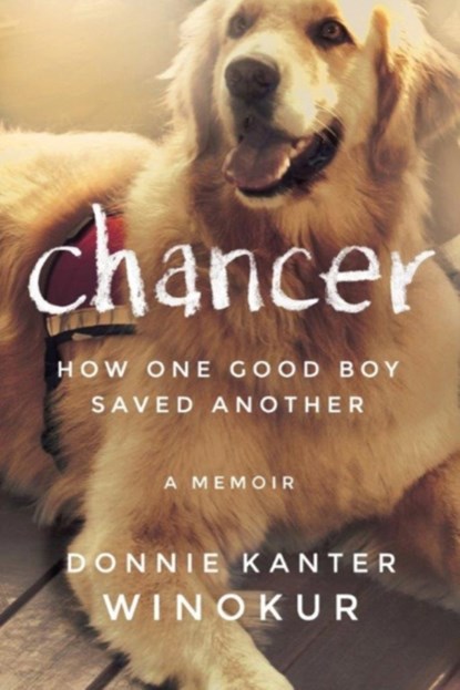 Chancer, Donnie Kanter Winokur - Paperback - 9781503942905