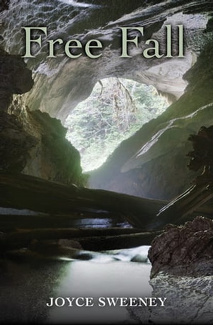 Free Fall, Joyce Sweeney - Ebook - 9781504004312