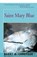 Saint Mary Blue, LONGYEAR,  Barry - Paperback - 9781504030137
