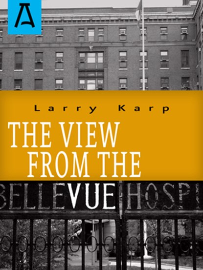 The View from the Vue, Larry Karp - Paperback - 9781504036139
