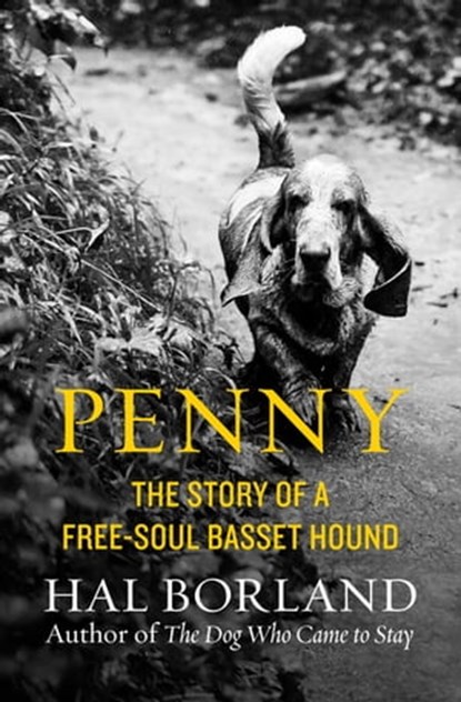 Penny, Hal Borland - Ebook - 9781504037679
