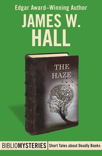 The Haze, James W. Hall - Ebook - 9781504039482