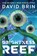 Brightness Reef, David Brin - Paperback - 9781504064736