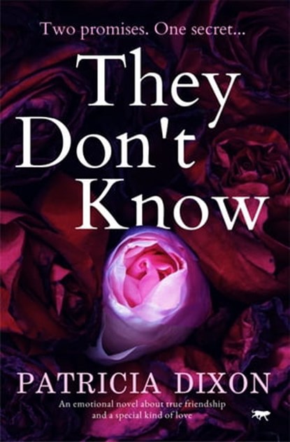 They Don't Know, Patricia Dixon - Ebook - 9781504069984