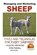 Managing and Marketing Sheep - Tools and Techniques for Every Shepherd, John Davidson - Paperback - 9781505803945