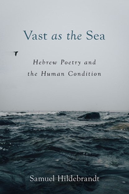 Vast as the Sea, Samuel Hildebrandt - Paperback - 9781506485492