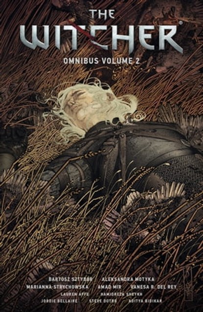 The Witcher Omnibus Volume 2, Bartosz Sztybor ; Aleksandra Motyka - Ebook - 9781506727196