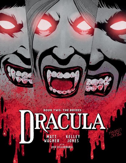 Dracula Book 2: The Brides, Matt Wagner ; Kelley Jones ; Jose Villarrubia - Paperback - 9781506750620