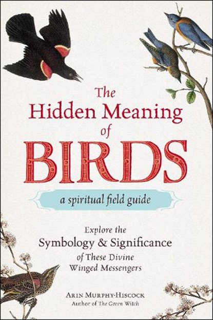 The Hidden Meaning of Birds--A Spiritual Field Guide, Arin Murphy-Hiscock - Paperback - 9781507210260