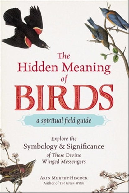 The Hidden Meaning of Birds--A Spiritual Field Guide, Arin Murphy-Hiscock - Ebook - 9781507210277