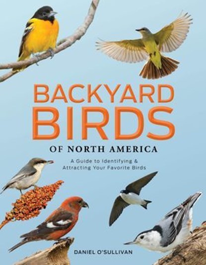 Backyard Birds of North America, Daniel O'Sullivan - Ebook - 9781507306673