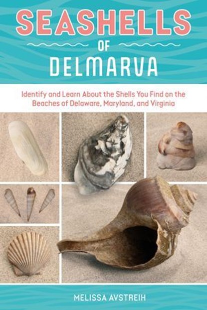 Seashells of Delmarva, Melissa Avstreih - Ebook - 9781507306710