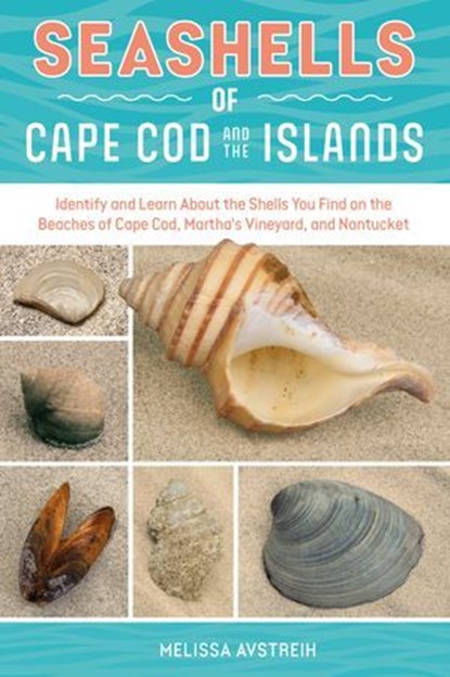 Seashells of Cape Cod and the Islands, Melissa Avstreih - Ebook - 9781507306727