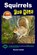 Squirrels For Kids, John Davidson - Paperback - 9781507881910