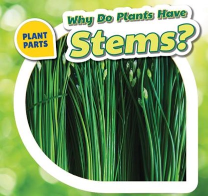 Why Do Plants Have Stems?, Celeste Bishop - Paperback - 9781508142331