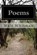 Poems, Walt Whitman - Paperback - 9781508703617