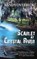 Scarlet at Crystal River, Randy Overbeck - Paperback - 9781509237876