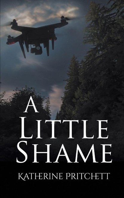 A Little Shame, Katherine Pritchett - Paperback - 9781509265510