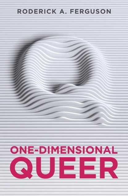 One-Dimensional Queer, Roderick A. Ferguson - Ebook - 9781509523597
