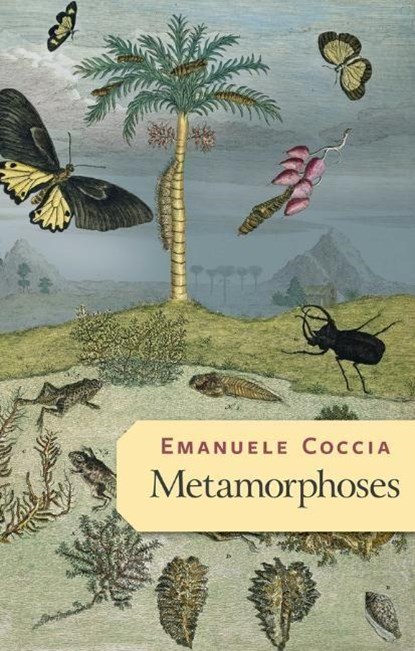 Metamorphoses, Emanuele Coccia - Paperback - 9781509545674