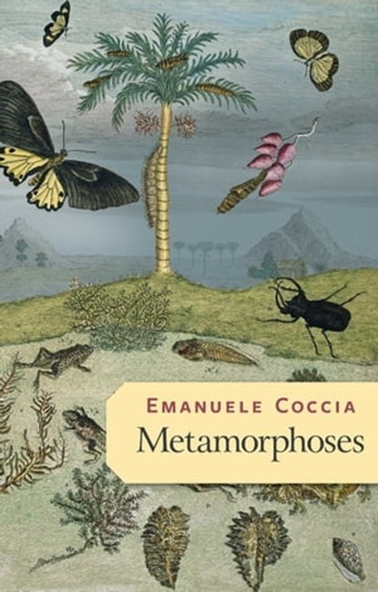 Metamorphoses, Emanuele Coccia - Ebook - 9781509545681