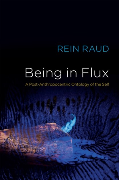 Being in Flux, Rein Raud - Paperback - 9781509549511