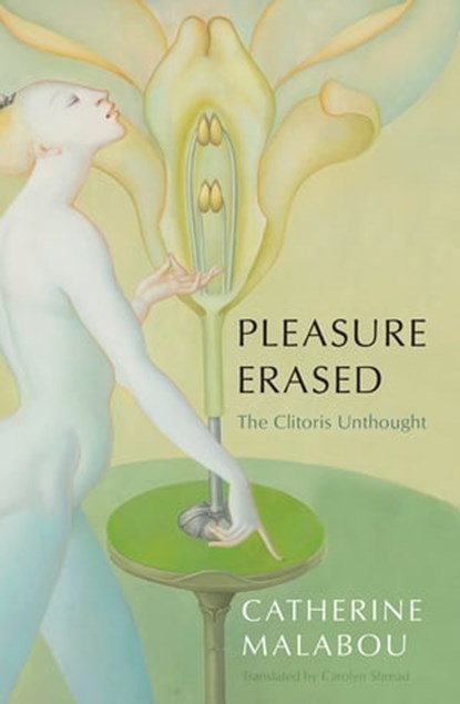 Pleasure Erased, Catherine Malabou - Ebook - 9781509549948