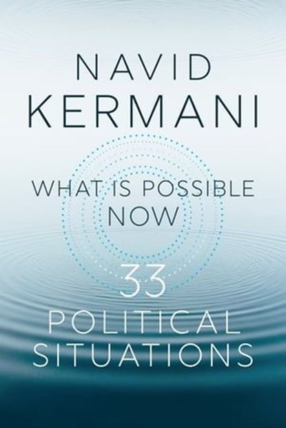 What is Possible Now, Navid Kermani - Ebook - 9781509557653