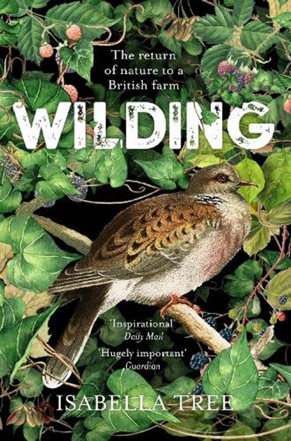Wilding, Isabella Tree - Paperback - 9781509805105