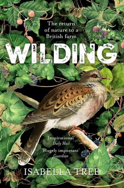 Wilding, Isabella Tree - Ebook - 9781509805112