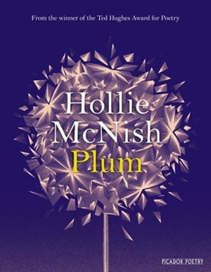 Plum, Hollie McNish - Ebook - 9781509815784