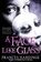 Face Like Glass, HARDINGE,  Frances - Paperback - 9781509818723