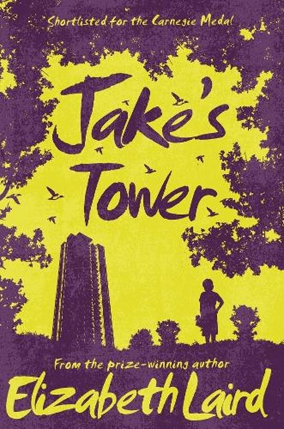 Jake's Tower, Elizabeth Laird - Paperback - 9781509826711