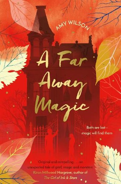A Far Away Magic, Amy Wilson - Paperback - 9781509837755