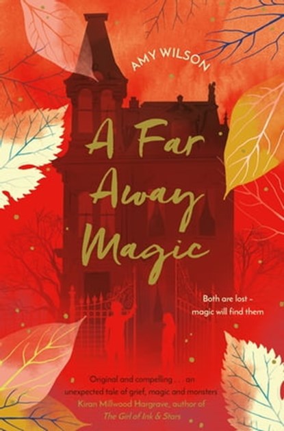 A Far Away Magic, Amy Wilson - Ebook - 9781509837762