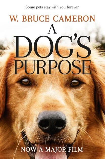 A Dog's Purpose, W. Bruce Cameron - Paperback - 9781509852826