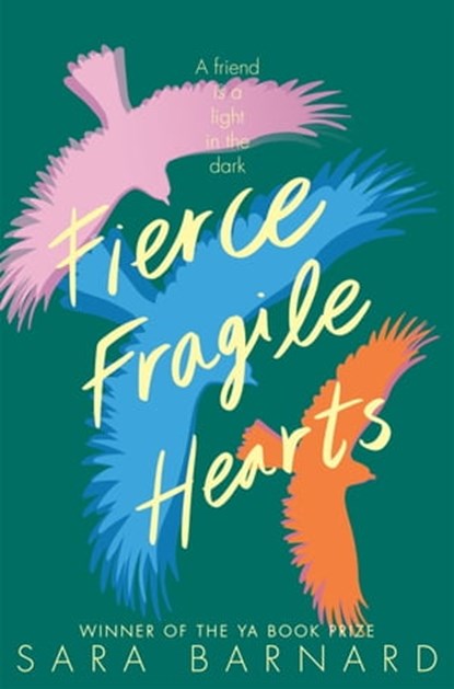 Fierce Fragile Hearts, Sara Barnard - Ebook - 9781509852895