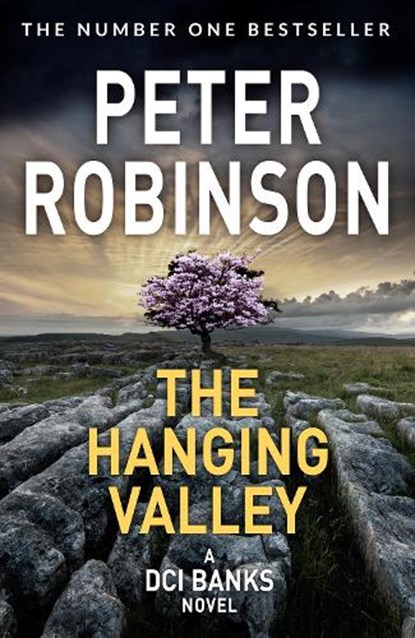 The Hanging Valley, Peter Robinson - Paperback - 9781509859047