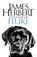 Fluke, James Herbert - Paperback - 9781509865475