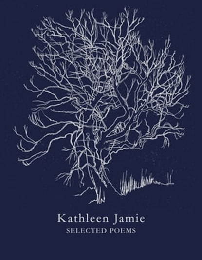Selected Poems, Kathleen Jamie - Ebook - 9781509882960