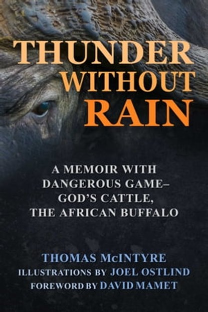 Thunder Without Rain, Thomas McIntyre - Ebook - 9781510738362