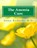 The Anemia Cure, Susan Richards M. D. - Paperback - 9781512226706