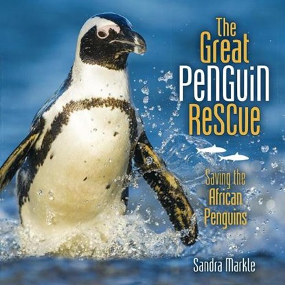 The Great Penguin Rescue: Saving the African Penguins, Sandra Markle - Gebonden - 9781512413151