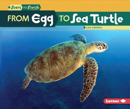 From Egg to Sea Turtle, Lisa Owings - Paperback - 9781512418415