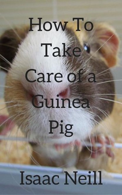 How to Take Care of a Guinea Pig, Isaac Neill - Ebook - 9781513068510