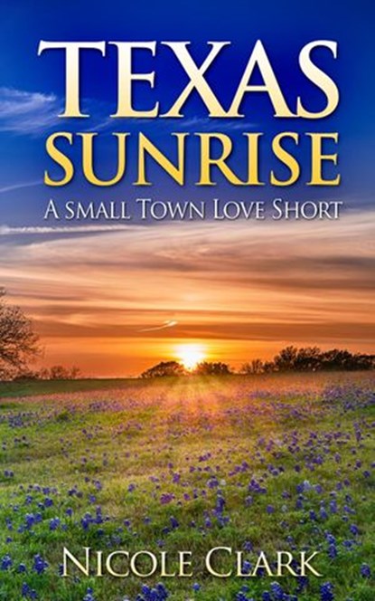 Texas Sunrise, Nicole Clark - Ebook - 9781513075143