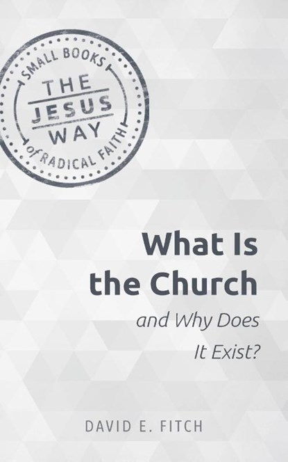 What Is the Church and Why Does It Exist?, Fitch David Fitch - Paperback - 9781513805702