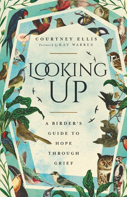 Looking Up, Courtney Ellis - Paperback - 9781514007167